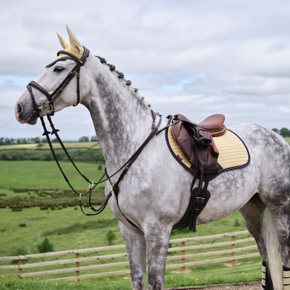 Podsedlová dečka LeMieux Suede Square Mimosa Kolekce 2025