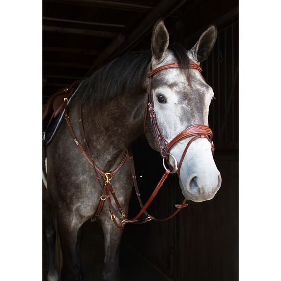 Uzdečka Kentaur Nashville a.k.n.