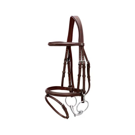 Uzdečka Dy'on Flash Noseband Bridle with Snap Cheekpieces WOAPGB