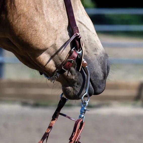 *W* Udidlo Weaver Tom Thumb Copper Plated 5" 6 1/2"