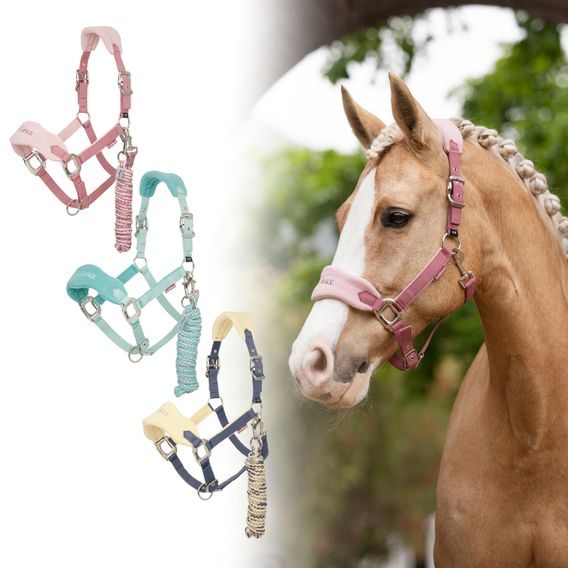 Ohlávka s vodítkem LeMieux Vogue Kolekce 2025