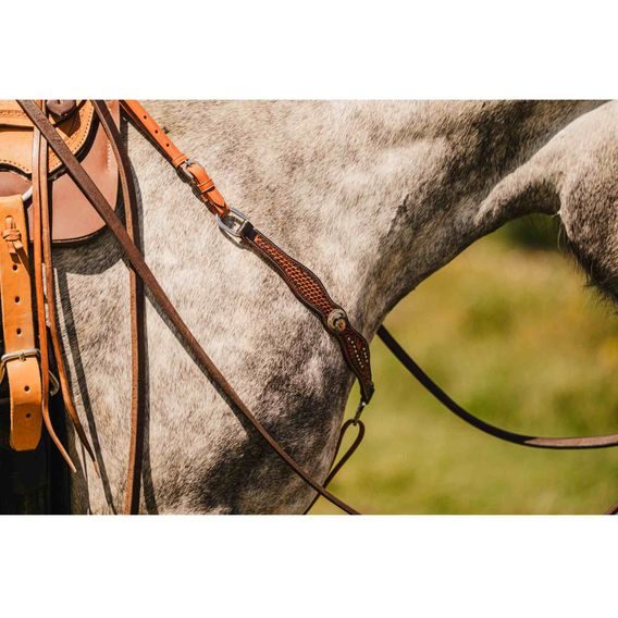 *W* Uzdečka a poprsník Cassini Flowers