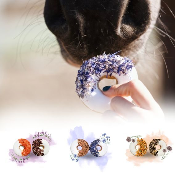 Pamlsky Candy Horse Donut s bylinkami 85g 2ks