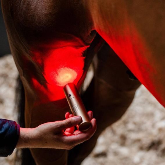 Svítilna set Horseware® LED Red Light Therapy Wand