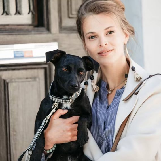 Obojek Kentucky Pied De Poule