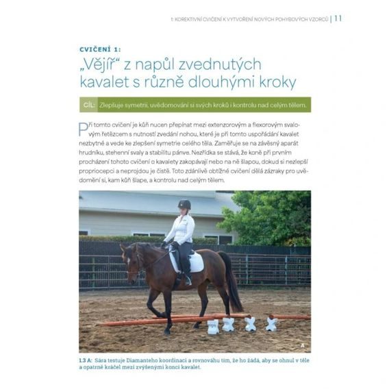 Publ Ballou Korektivní cvičení pro koně