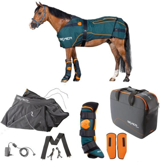 TEST BEMER Horse-Set