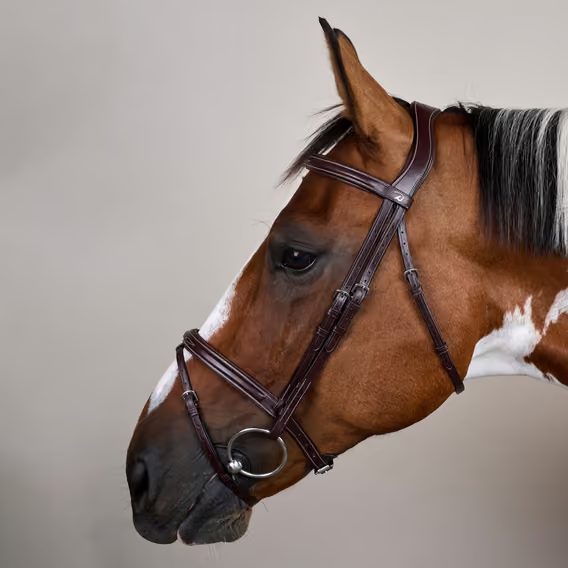 Uzdečka Dy'on Flash Noseband Bridle USAAAA
