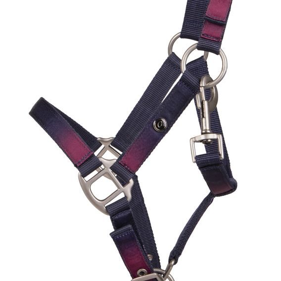 Ohlávka s vodítkem QHP Jaily Kolekce 2025