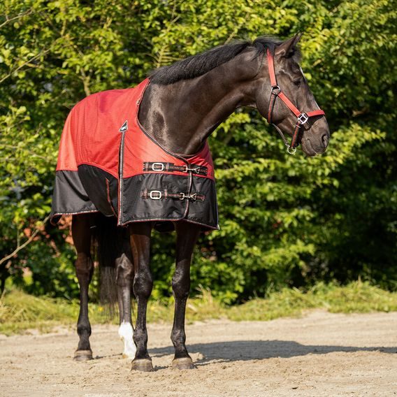 Deka lehká výběhová QHP 600D s fleece podšívkou Kolekce 2026