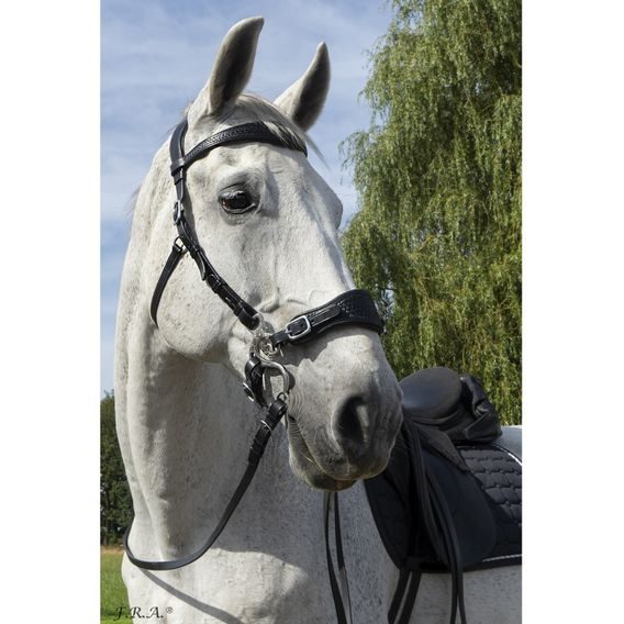 Uzdečka s hackamore F.R.A. Fiore