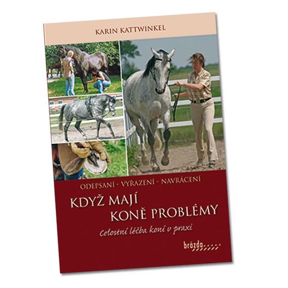 Publ Když mají koně problémy DOPRODEJ