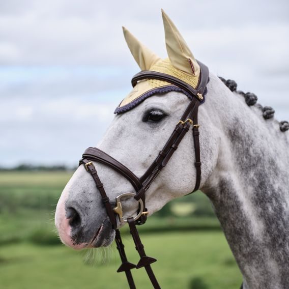 Čabraka na uši LeMieux Classic Mimosa Kolekce 2025