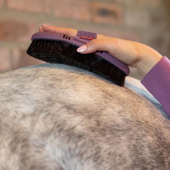 Kartáč LeMieux Flexi Horse Hair Kolekce 2026