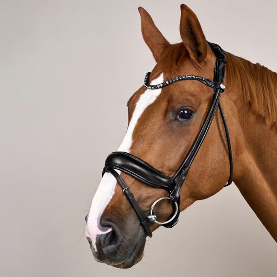 Uzdečka Dy'on ComfoHead Bridle WOIHHS