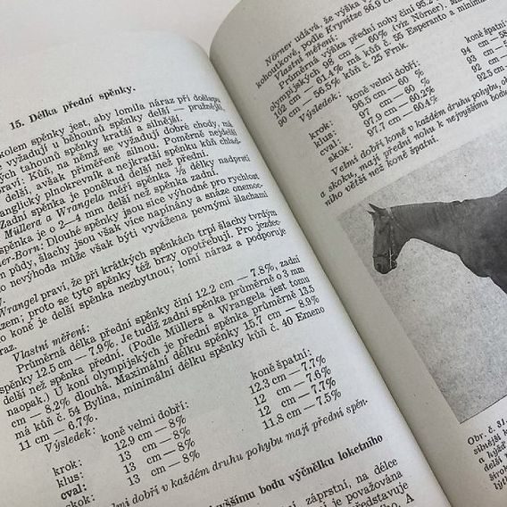 Publ Lechner Kompletní dílo DOPRODEJ