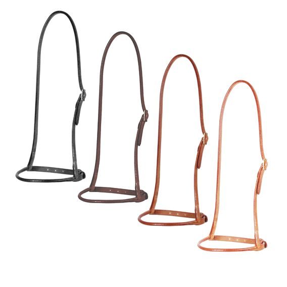 *W* Nánosník Pool's Tondo western DOPRODEJ