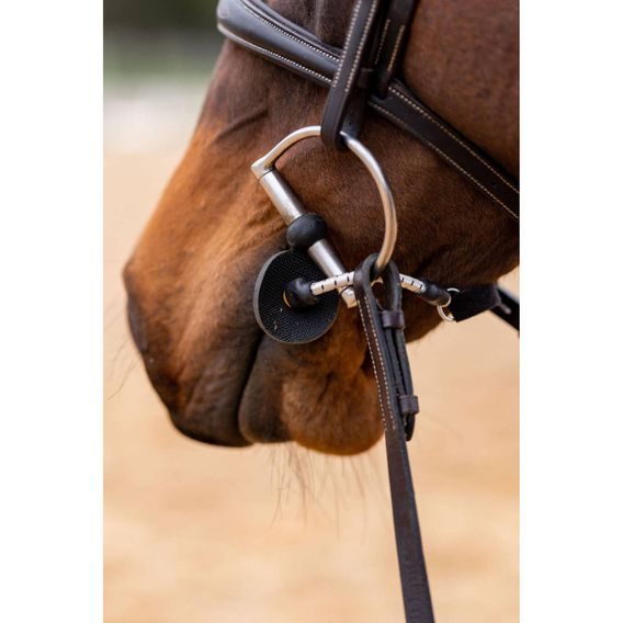 ThinLine Bussy/Buddy