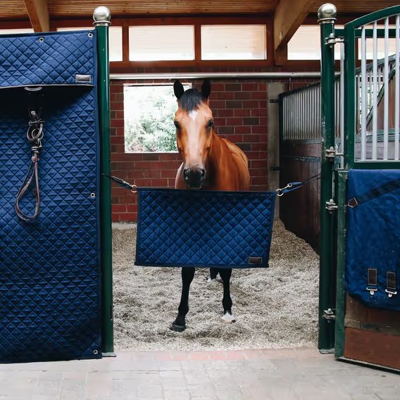 Závěr dveří závodního boxu Kentucky tm.modrý