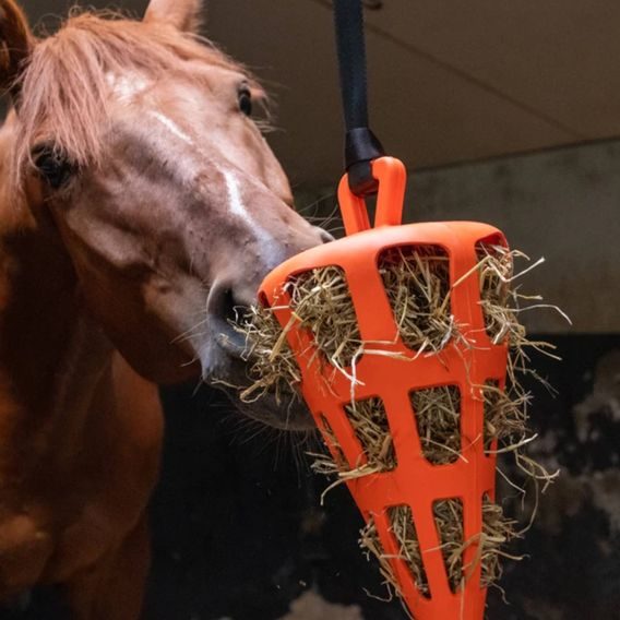 Slow Feeder Fun&Flex Carrot 22cm