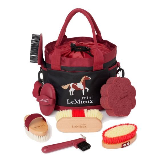 Sada čištění LeMieux Grooming Set Mini