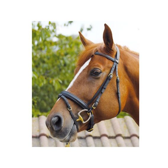 Uzdečka Equiservis švédský nán kombi NA OBJEDNÁVKU