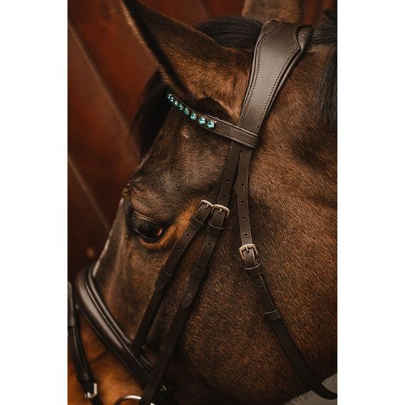 Uzdečka Cassini Stone s otěžemi švéd. nán.