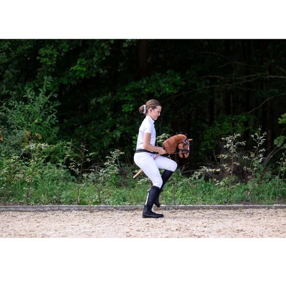 Hobby Horse QHP