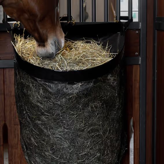 Vak na seno Kentucky