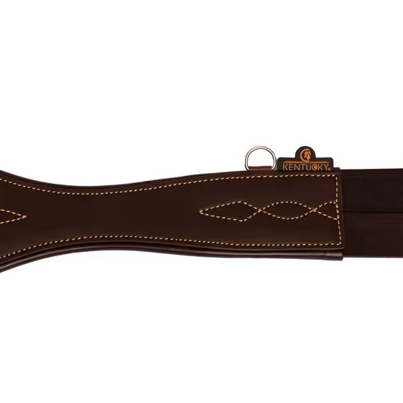 Podbřišník Kentucky anatomický 42408