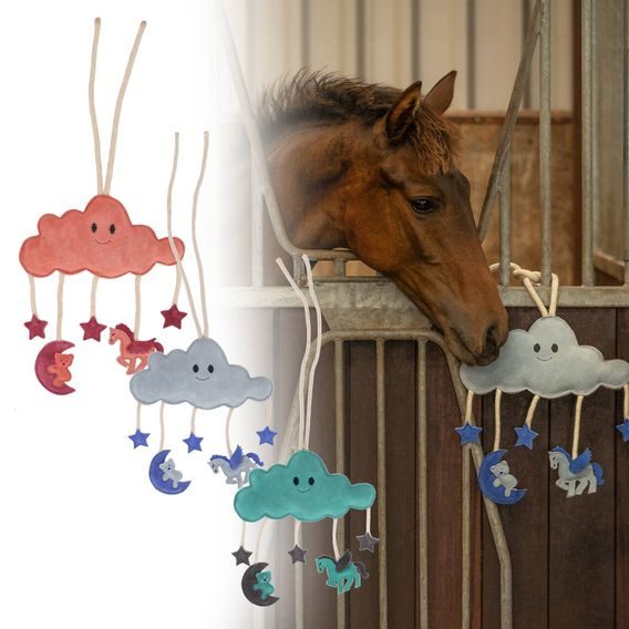 Hračka pro koně QHP Novy