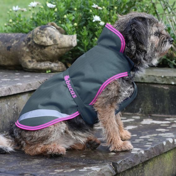 Deka na psa Bucas Freedom 150g Kolekce 2023/24