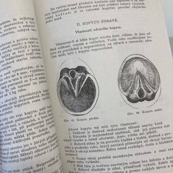 Publ Lechner Kompletní dílo DOPRODEJ