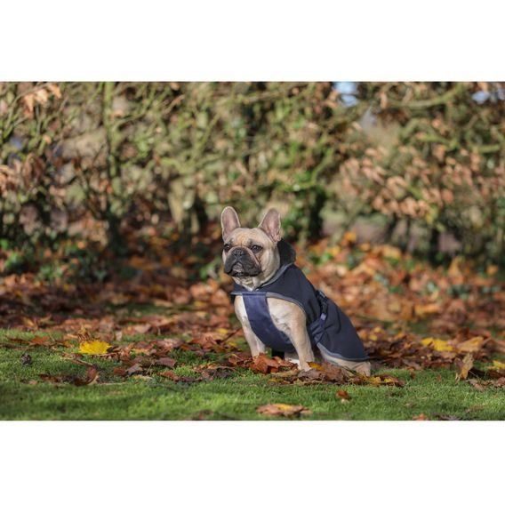 Deka na psa Bucas Show-Line