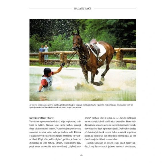 Publ Heuschmann Balanceakt