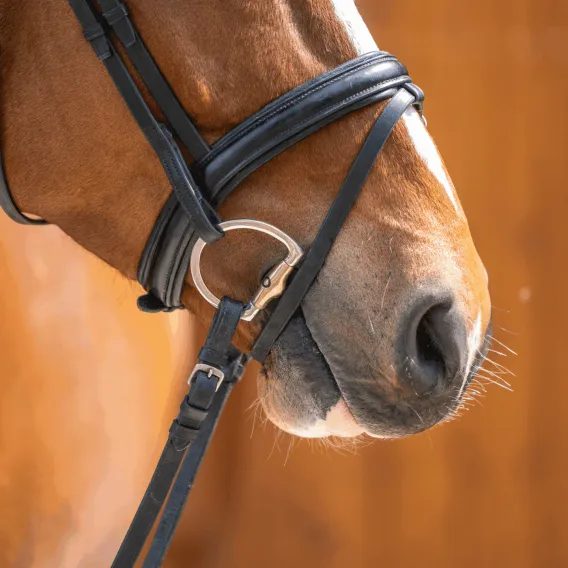 Oliva Sprenger Dynamic RS 2xlomená 40406 78