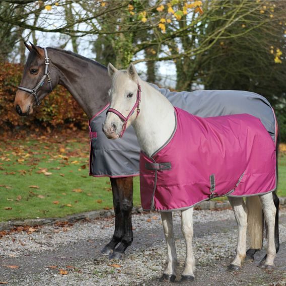 Deka stájová termo Bucas Freedom 300g Kolekce 2025/26