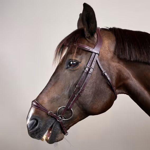 Uzdečka Dy'on Adjustable Drop Noseband NEAAAE