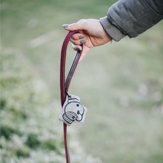 Pouzdro na sáčky Kentucky AKČNÍ CENA