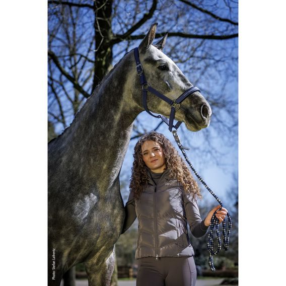 Ohlávka Schockemöhle Memphis III Kolekce 2025/26