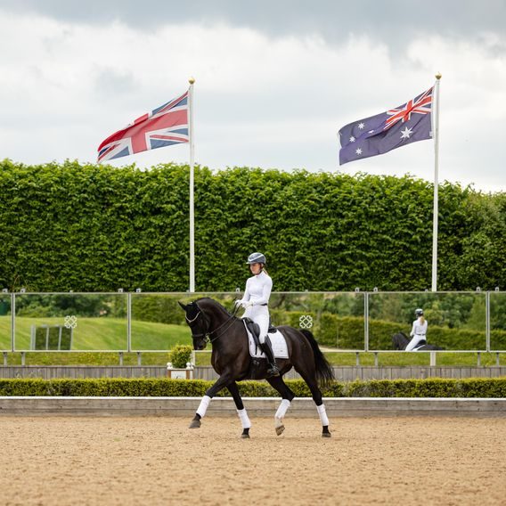 Podsedlová dečka LeMieux Loire Square DOPRODEJ