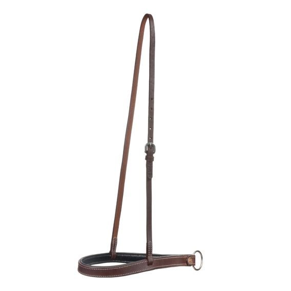 *W* Nánosník Pool's