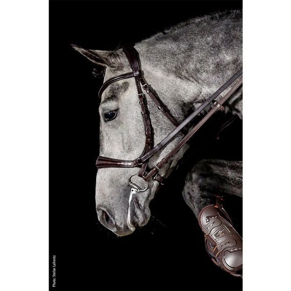 Uzdečka Schockemöhle Equitus Theta anatomická DOPRODEJ