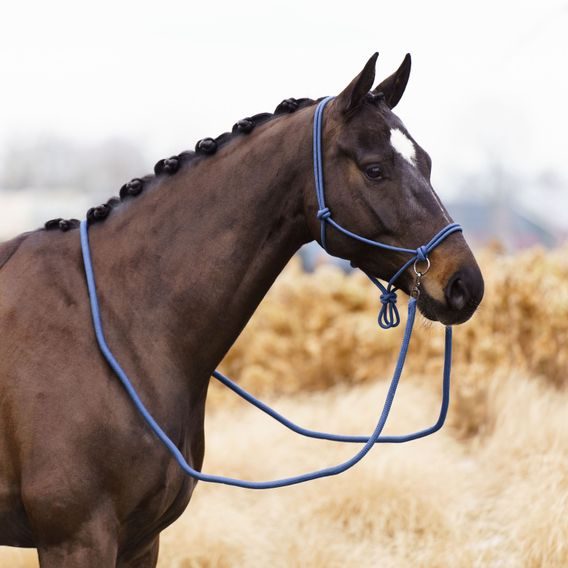 Ohlávka provazová Imperial Riding Free Ride s otěžemi