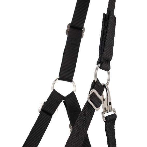 Náhubek pro koně QHP s beránkem