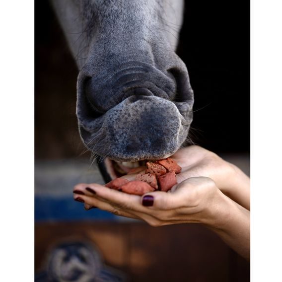 Pamlsky Candy Horse Kopýtka Lesní plody 500g