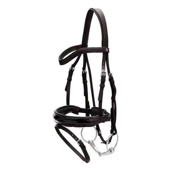 Uzdečka Dy'on Patent Large Crank Noseband Bridle With Flash WODCAN