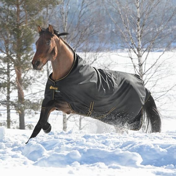 Deka výběhová Bucas Irish Turnout 100g Kolekce 2025/26