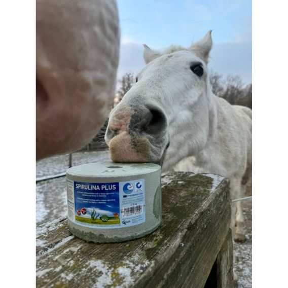 Minerální liz pro koně z mořské soli se spirulinou 3kg