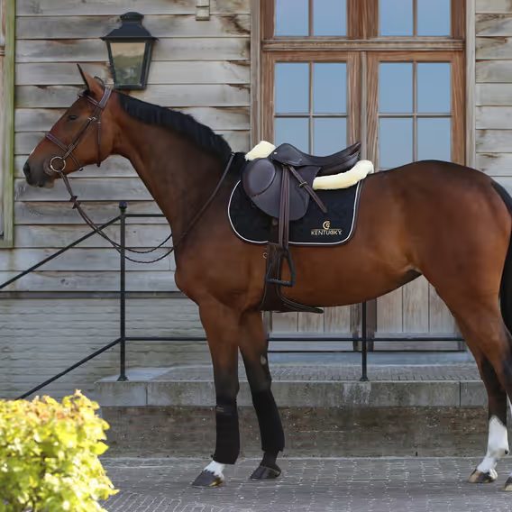 Podsedlová dečka Kentucky 42506